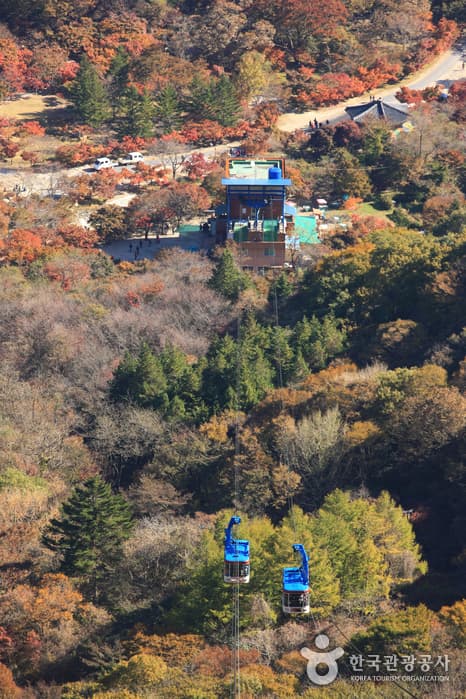 전라북도_정읍시_내장산 케이블카_020