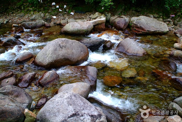 다리안계곡_10