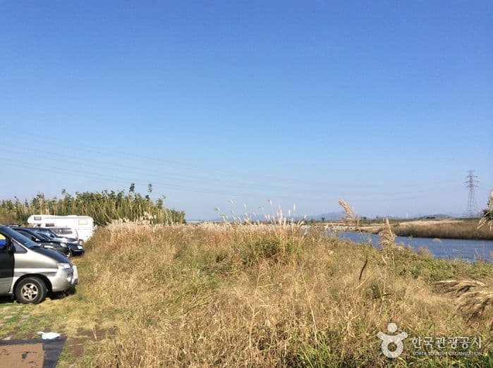 전남_담양_담양대나무숲04