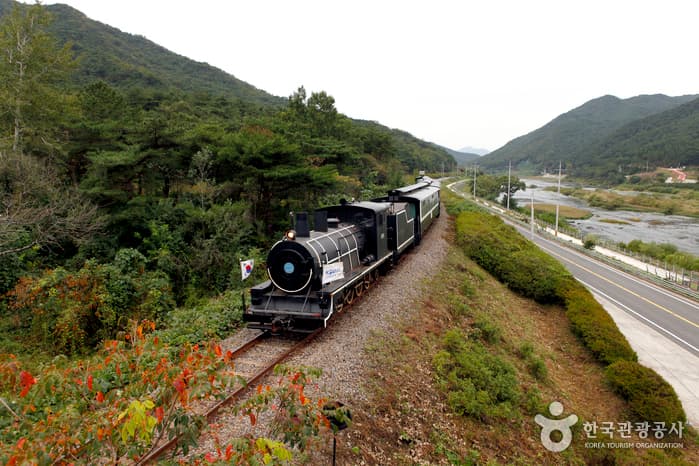 전남_곡성_곡성에서 효녀 심청을 만나다12