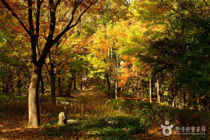 Cheongdam Park (청담공원)