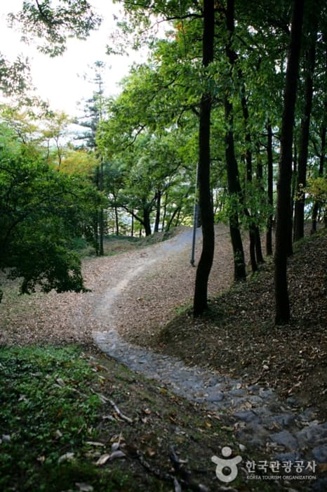 전남_담양_면앙정04