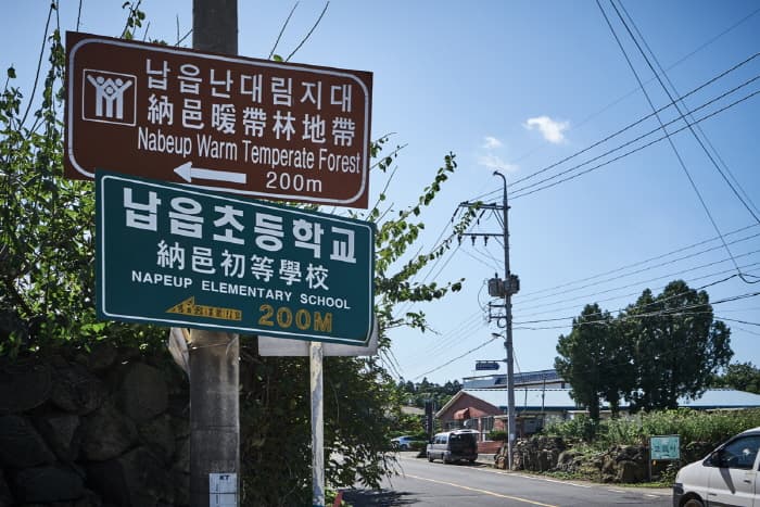 한국문화정보원_금산공원(납읍난대림지대)_009