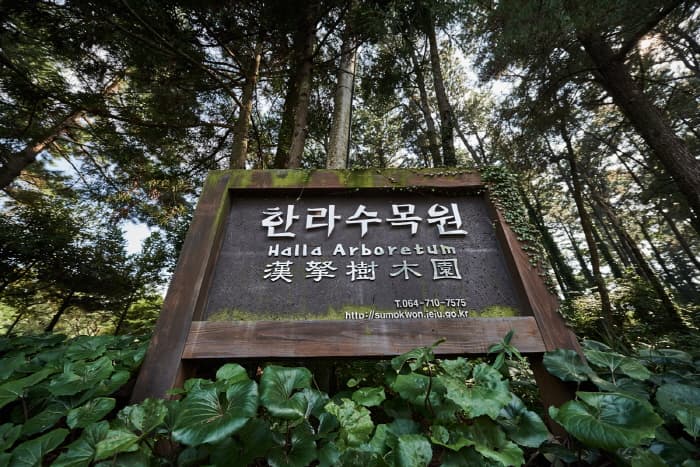 한국문화정보원_한라수목원_005