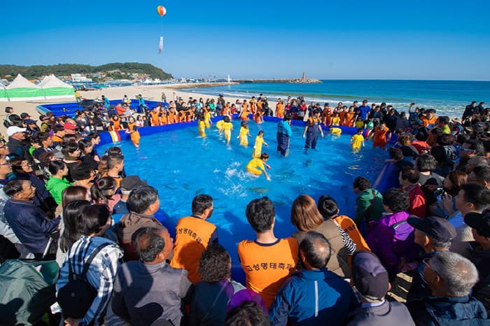 고성통일명태축제 2019(5)