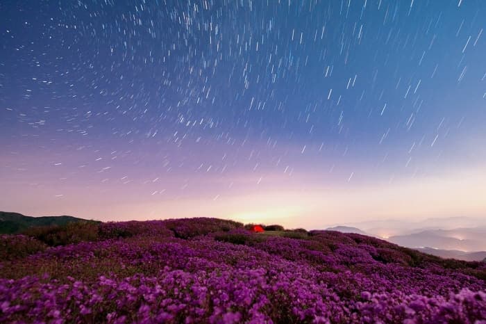 황매산군립공원(6)