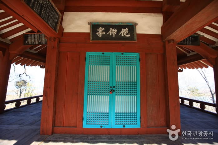 면앙정과 참나무_12