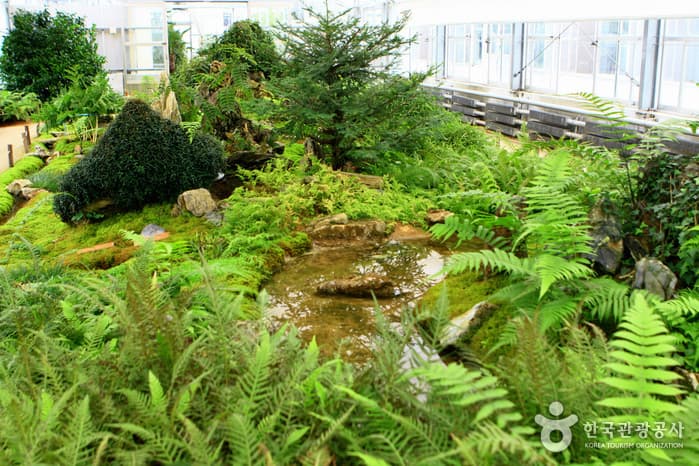 물향기수목원41