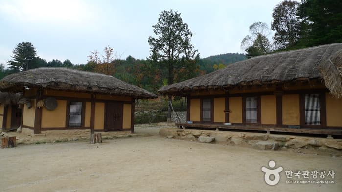 평창 이효석문화마을 (50)