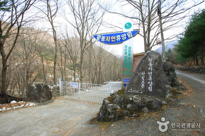 원동자연휴양림_003