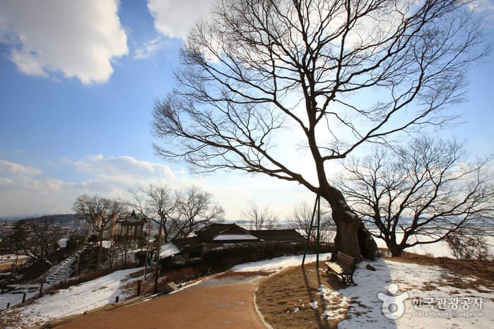 충청남도_논산시_옥녀봉_048