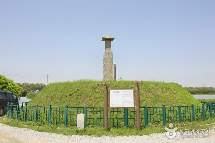 전라북도_익산시_익산 고도리석불입상_001