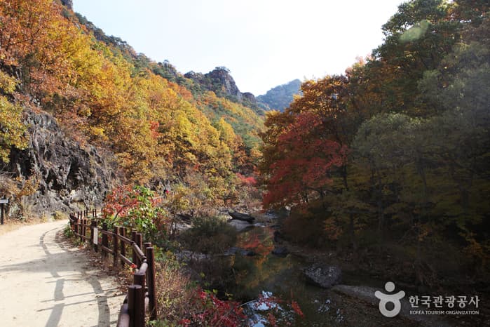 주왕산12