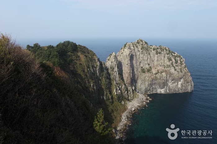 1311경북_울릉_핫스팟7