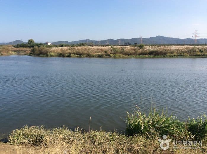 전남_담양_담양대나무숲05