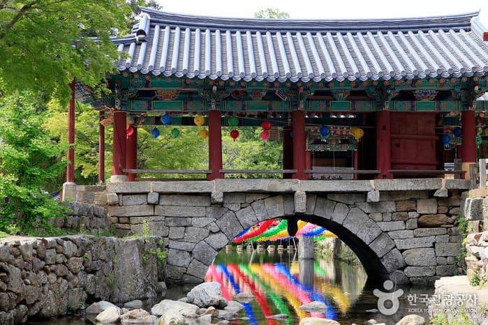 전남_순천_눈물이 나면 가을 순천에 가라_06