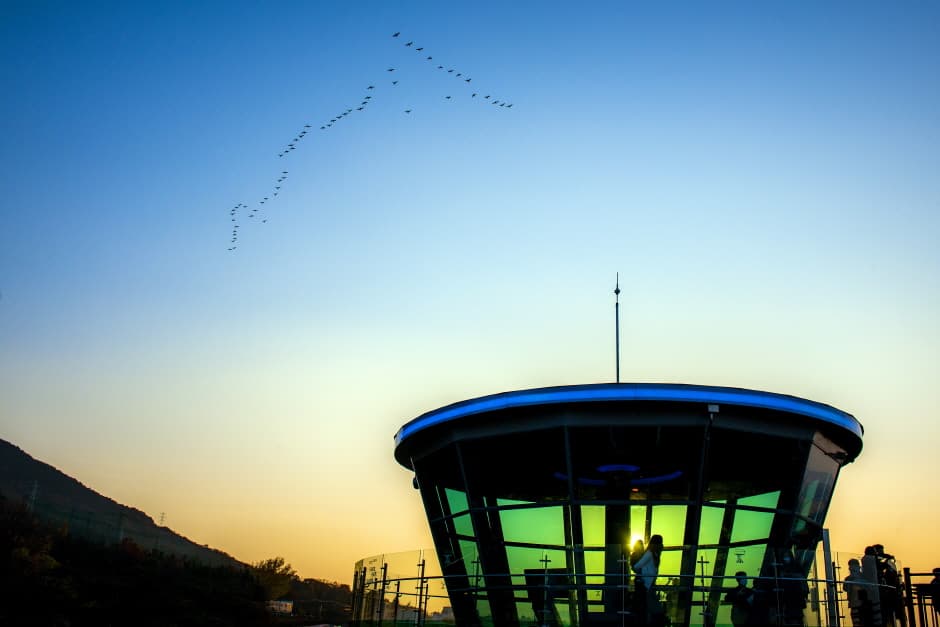 앞산 해넘이전망대_5