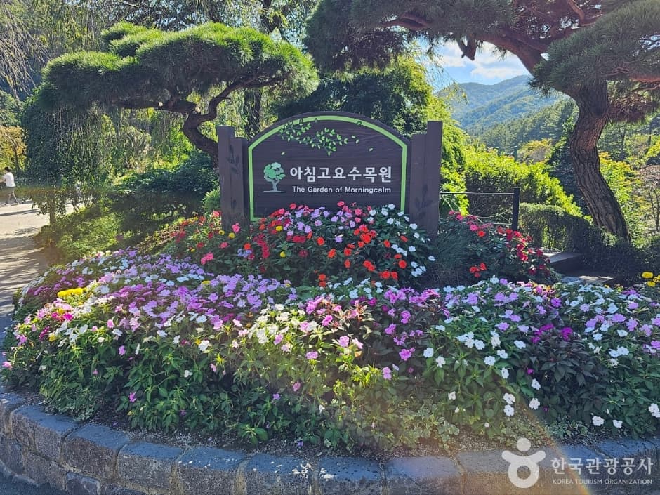 아침고요수목원_1