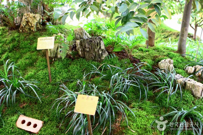 물향기수목원42