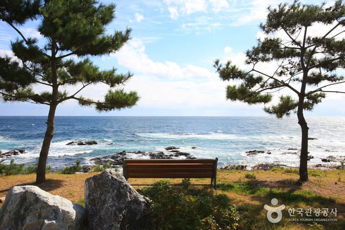 대게원조마을_017