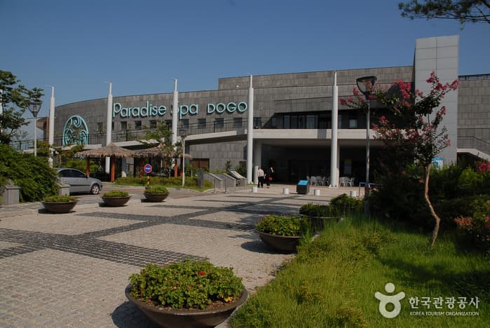 파라다이스스파도고