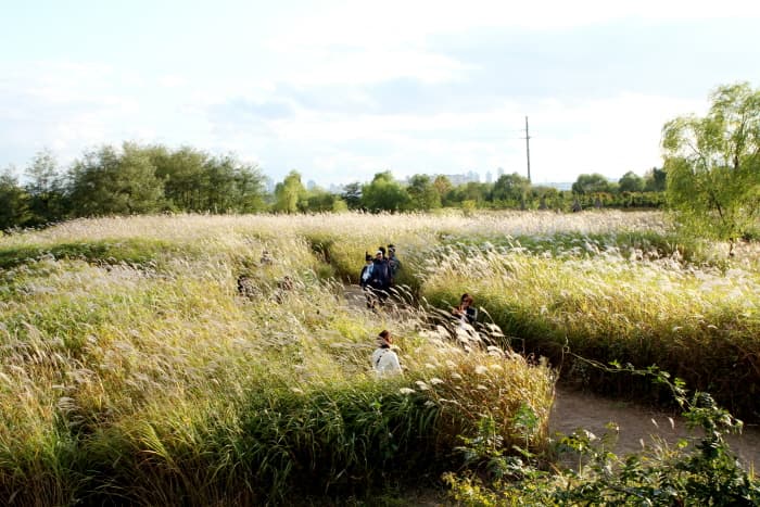 드림파크 가을나들이행사 2019(5)