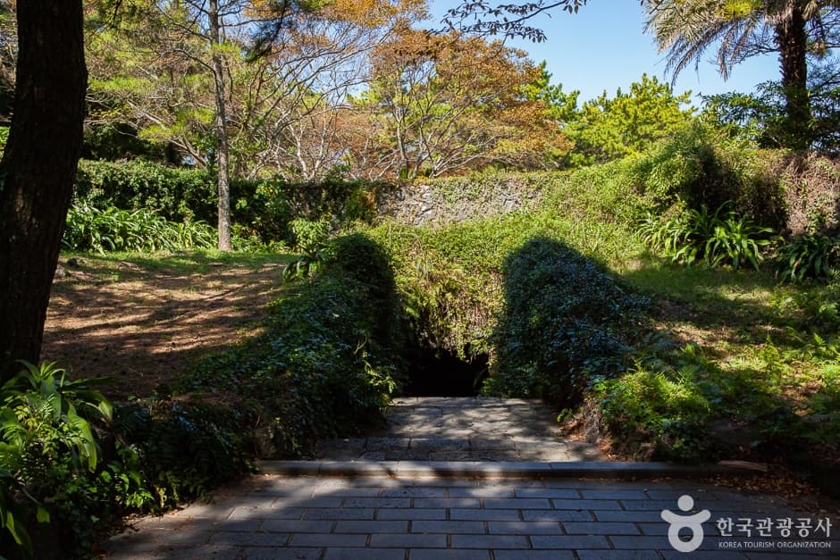 협재굴(한림공원) (24)