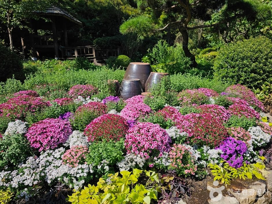 아침고요수목원_2