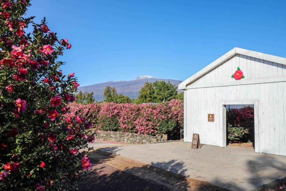 제주_휴애리자연생활공원 (6)