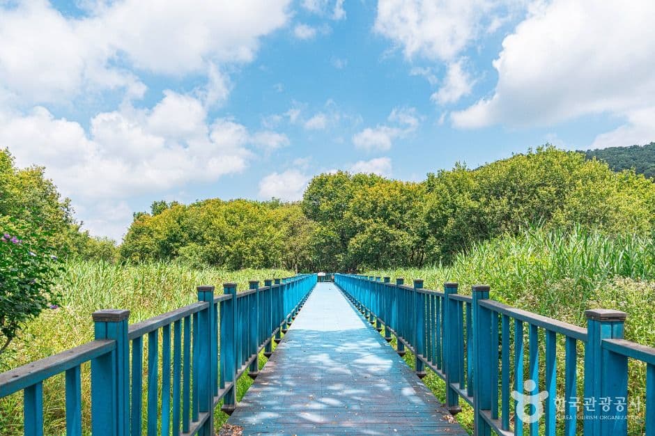 광주_광주호 호수생태원 (4)