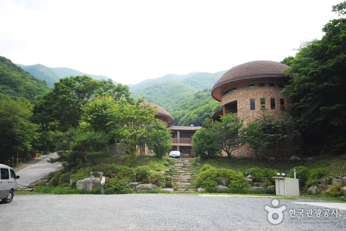 운문산자연휴양림_19