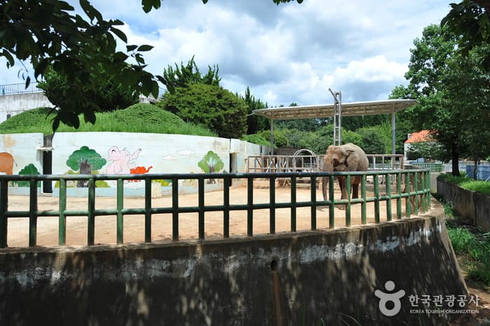 Jeonju Zoo (전주동물원)