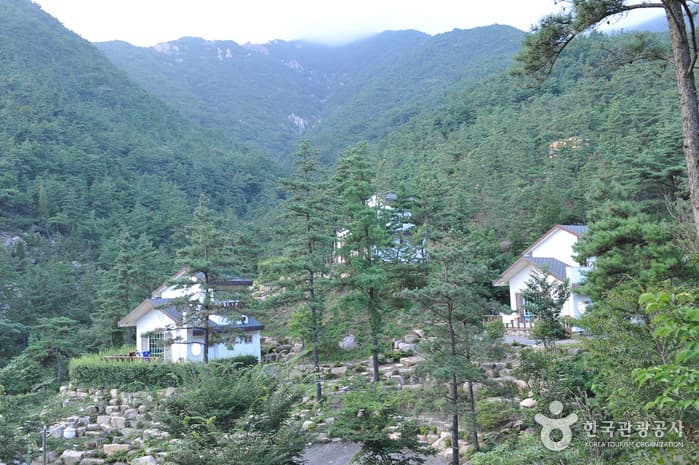 Naganminsok National Recreational Forest (국립 낙안민속자연휴양림)