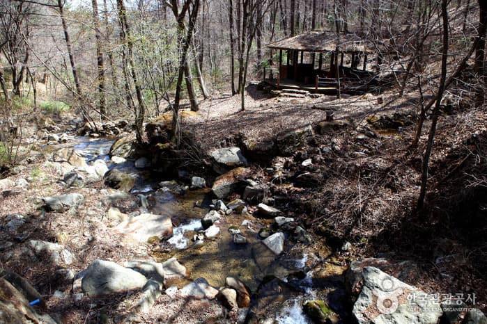 경북_봉화_청옥산자연휴양림04