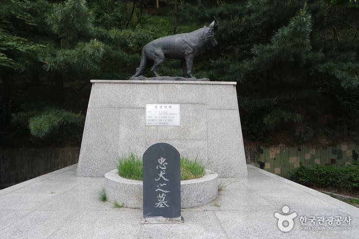 강원_양구_제4땅굴10