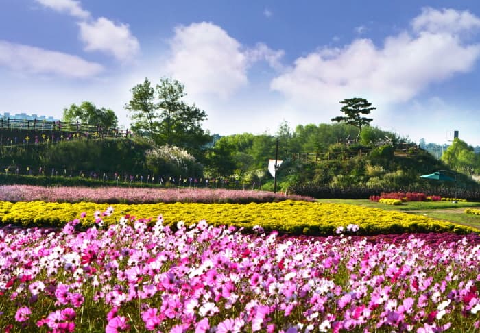 드림파크 가을나들이행사 2019(4)