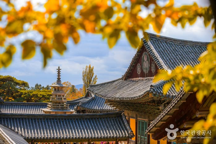 Gyeongju Bulguksa Temple [UNESCO World Heritage] (경주 불국사 [유네스코 세계유산])