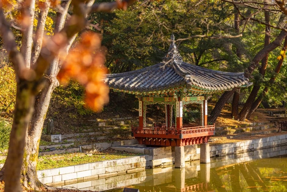 Changdeokgung Palace Complex [UNESCO World Heritage Site] (창덕궁과 후원 [유네스코 세계유산])