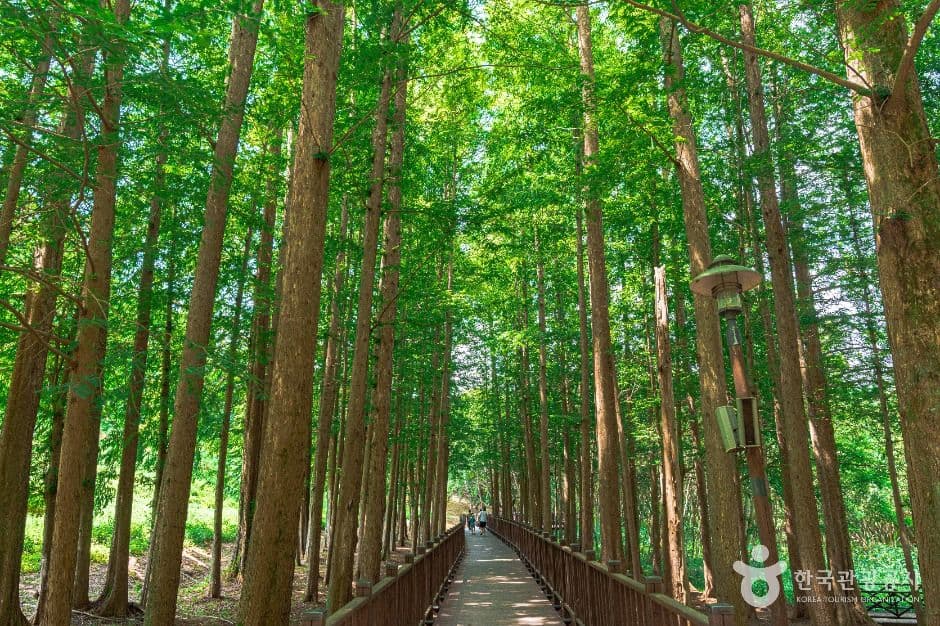 광주_광주호 호수생태원 (5)