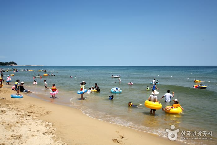 동호해수욕장_23