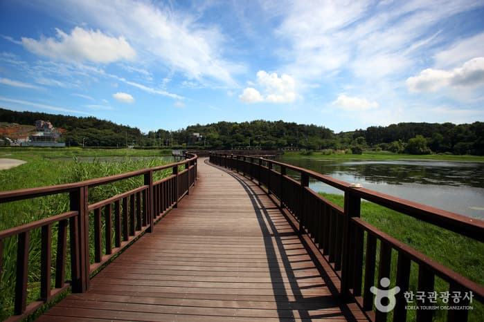 전북_군산_은파호수공원에서 즐기는 군산의 낮과 밤02