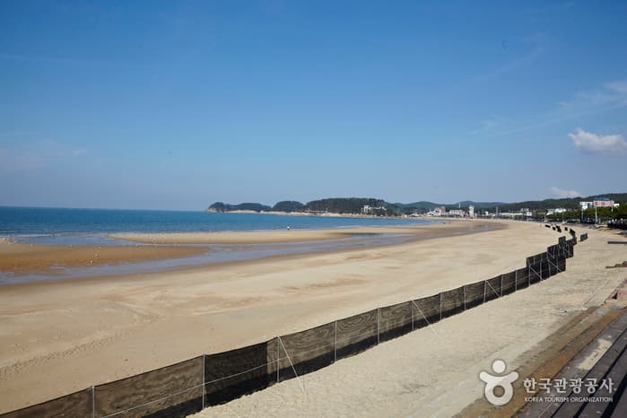 충남_태안_만리포해수욕장02