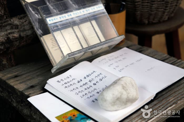 전남_순천_눈물이 나면 가을 순천에 가라_09