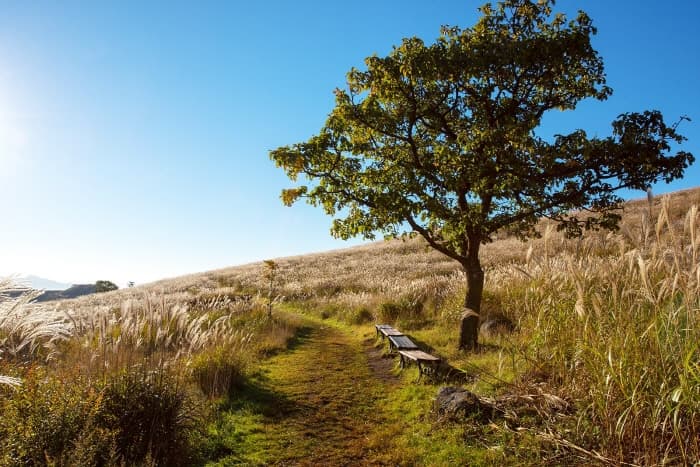 황매산군립공원(1)