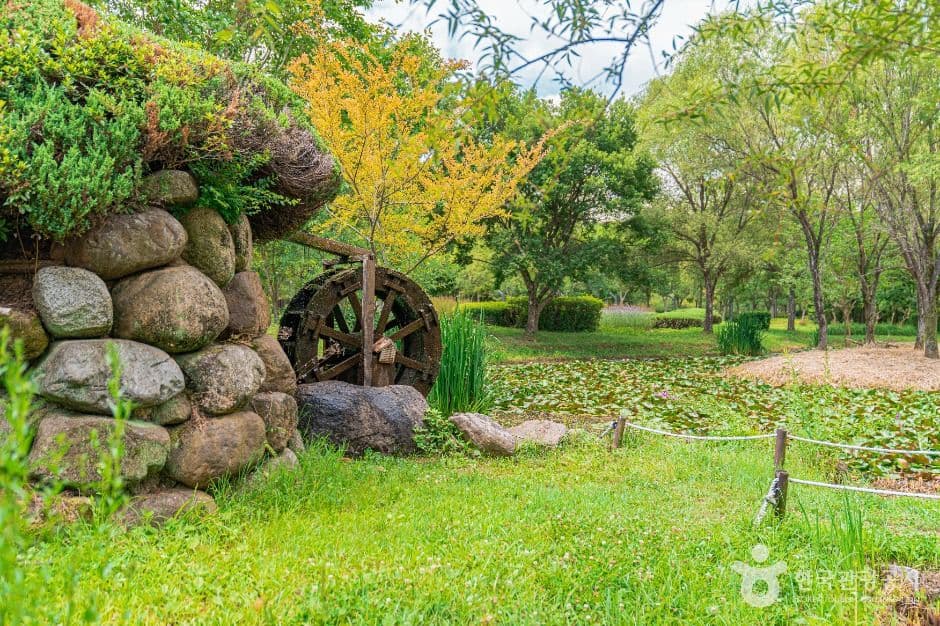 광주_광주호 호수생태원 (7)