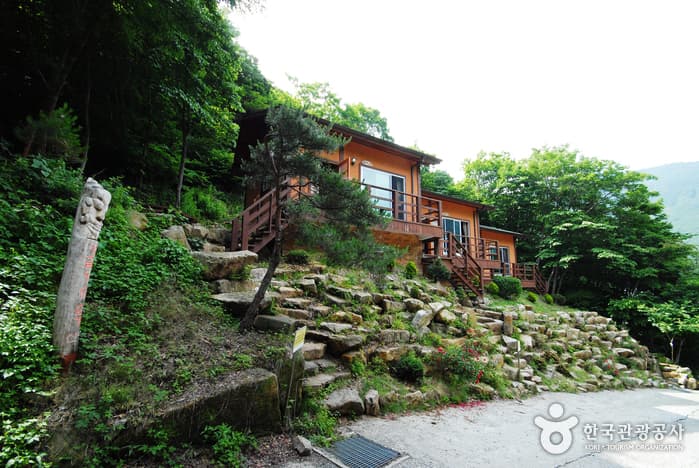 운문산자연휴양림_21