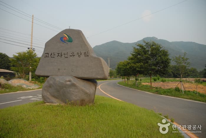 고산자연휴양림_01