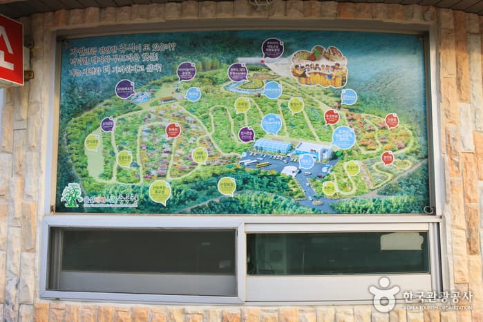 울산광역시_동구_울산테마식물수목원_005