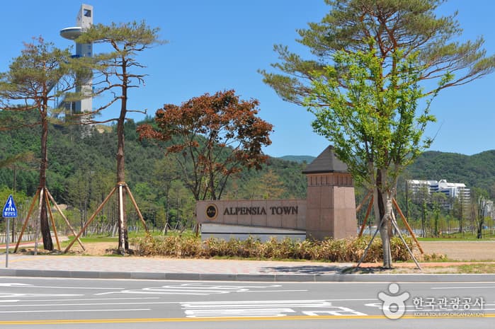 알펜시아리조트