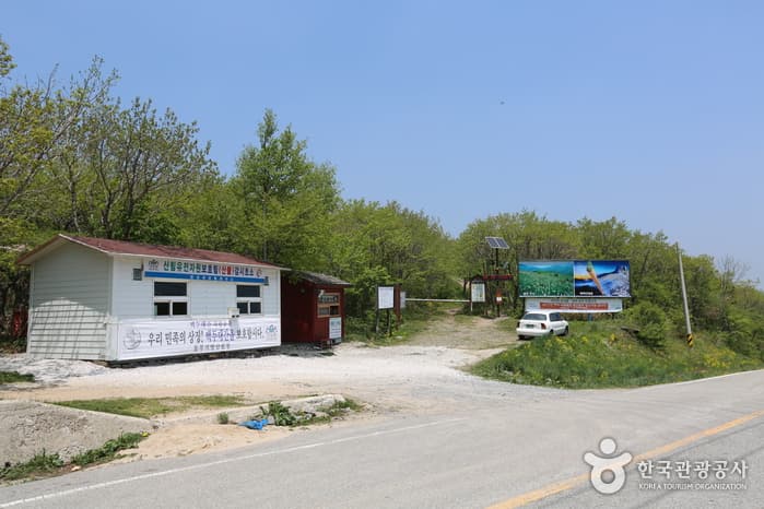 강원_태백_함백산05